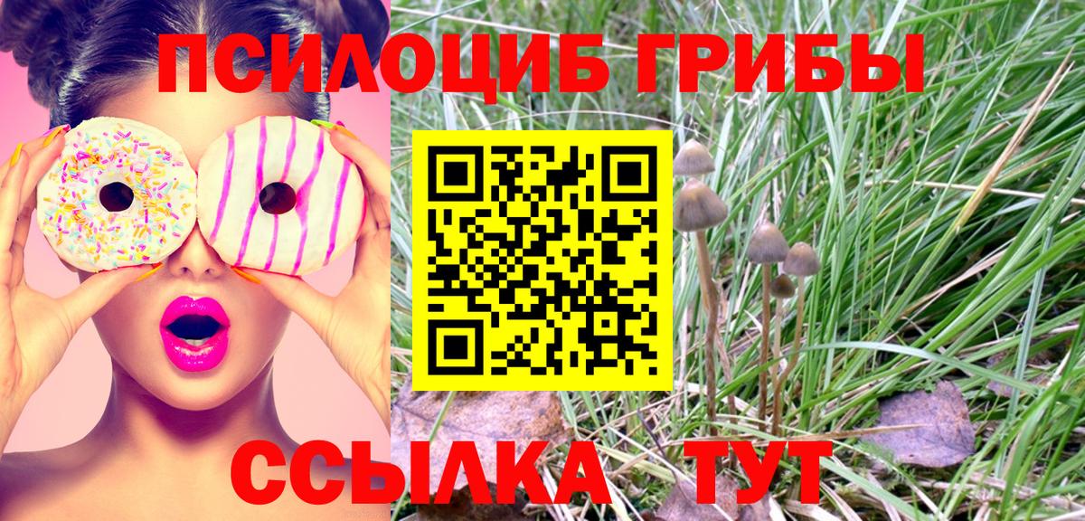 хочу наркоту  Галлюциногенные грибы GOLDEN TEACHER  Вход с VPN  Людиново 